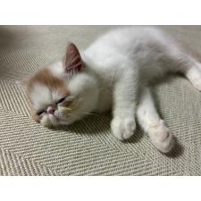 写真5859_1